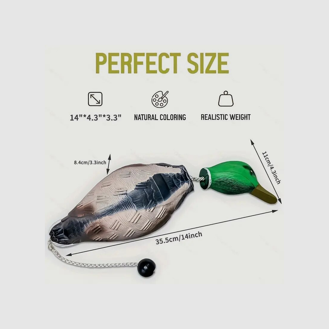 hs-arms dog retrieving dummy stock duck