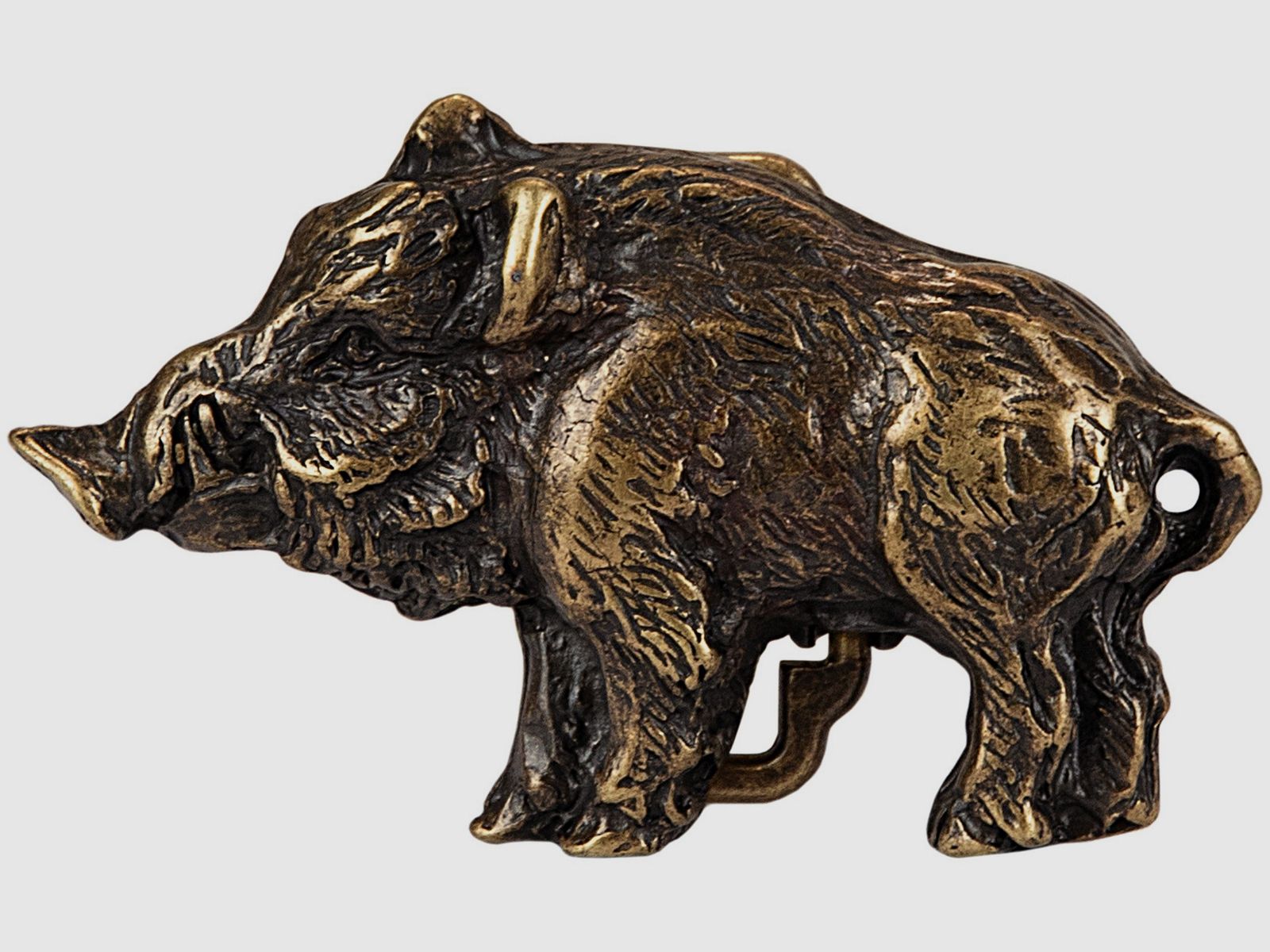 Grtelschliee Figura Cinghiale