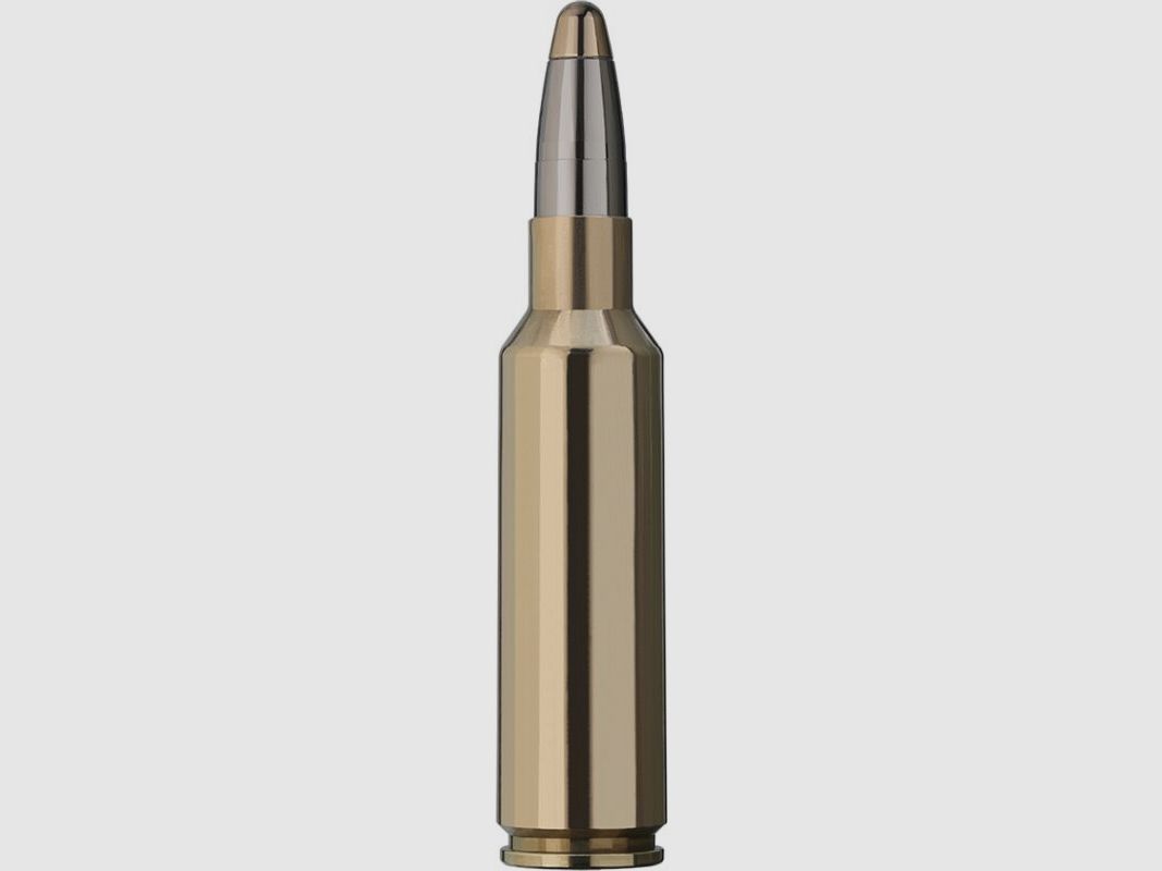 RWS Evo 184grs - 20Stk