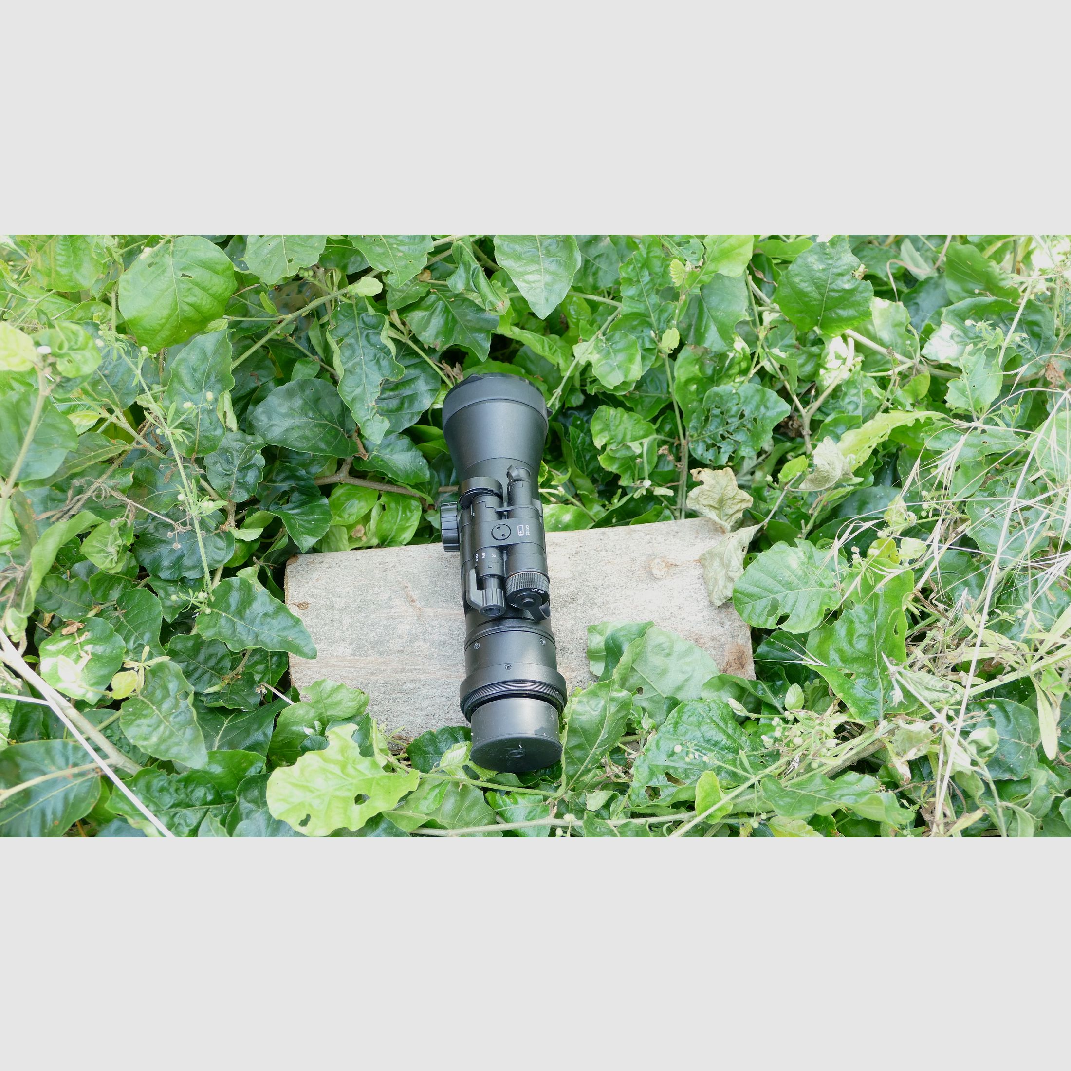 Dedal 552, Bild 5 von 7
