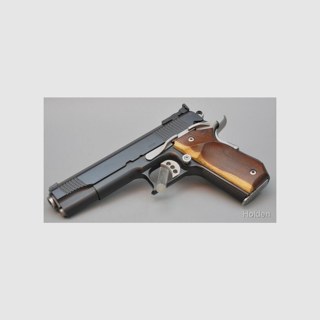 Holden Custom Guns 1911 10mmAuto