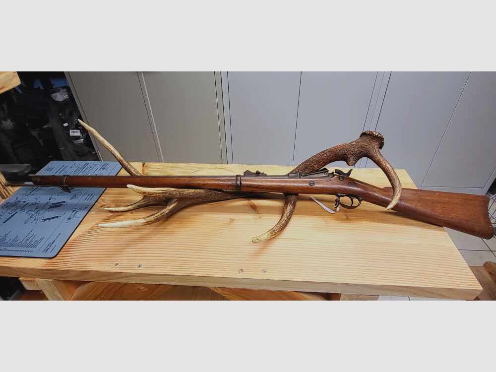 Springfield 1878 mit Original Munitionstasche