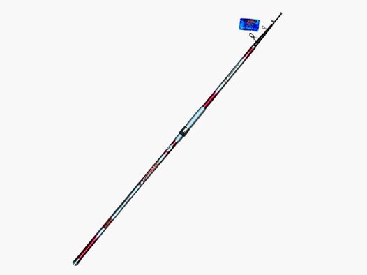 Surfcasting-Rute Carson 4,20 m 5 Teile 50-100g