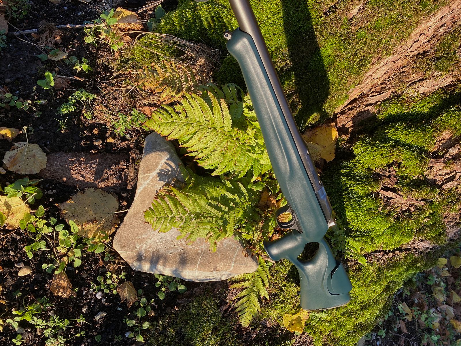 Blaser R8 kolf / doorloperschaft