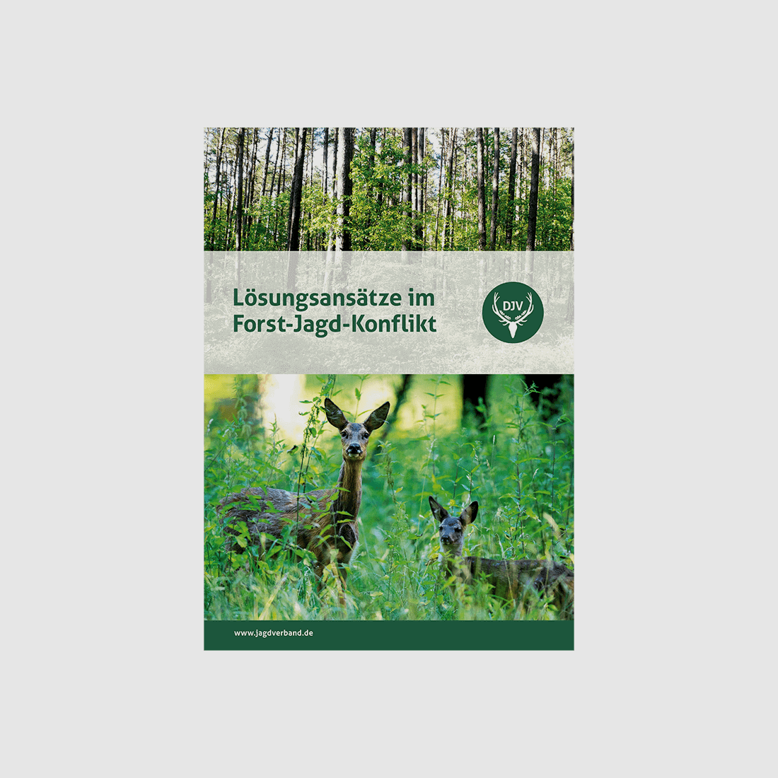 Broschüre "Lösungsansätze im Forst-Jagd-Konflikt"
