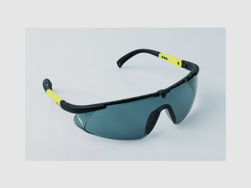 I-Spector Protective Glasses Vernon Smoke