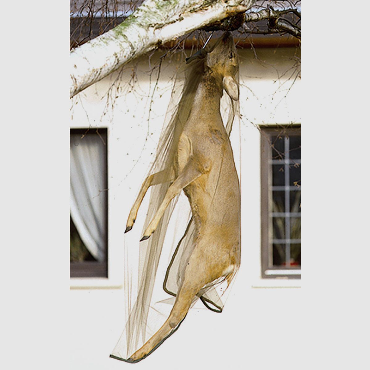 Fritzmann Fliegenschutznetz Rehwild 170x110cm