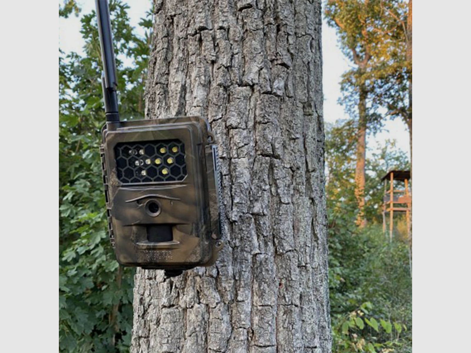 Seissiger Wildkamera Special-Cam LTE Weißblitz Supersim