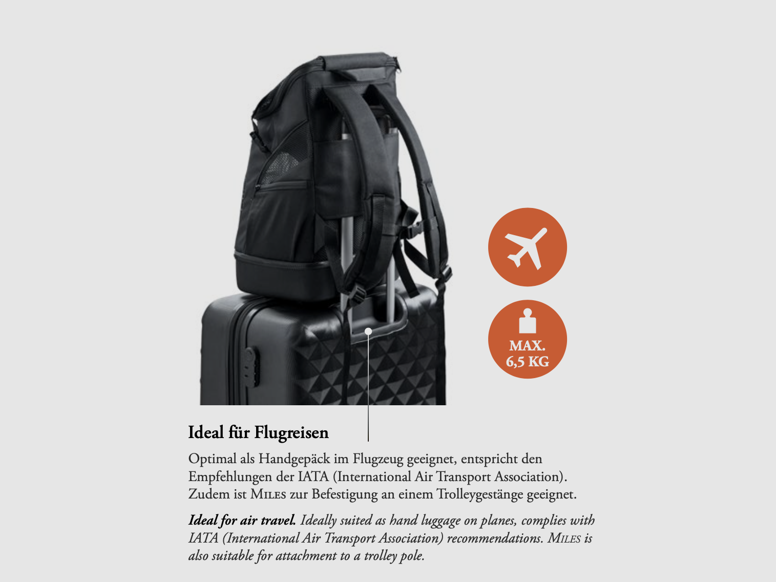 Flugtasche & Rucksack Miles, Bild 2 von 6
