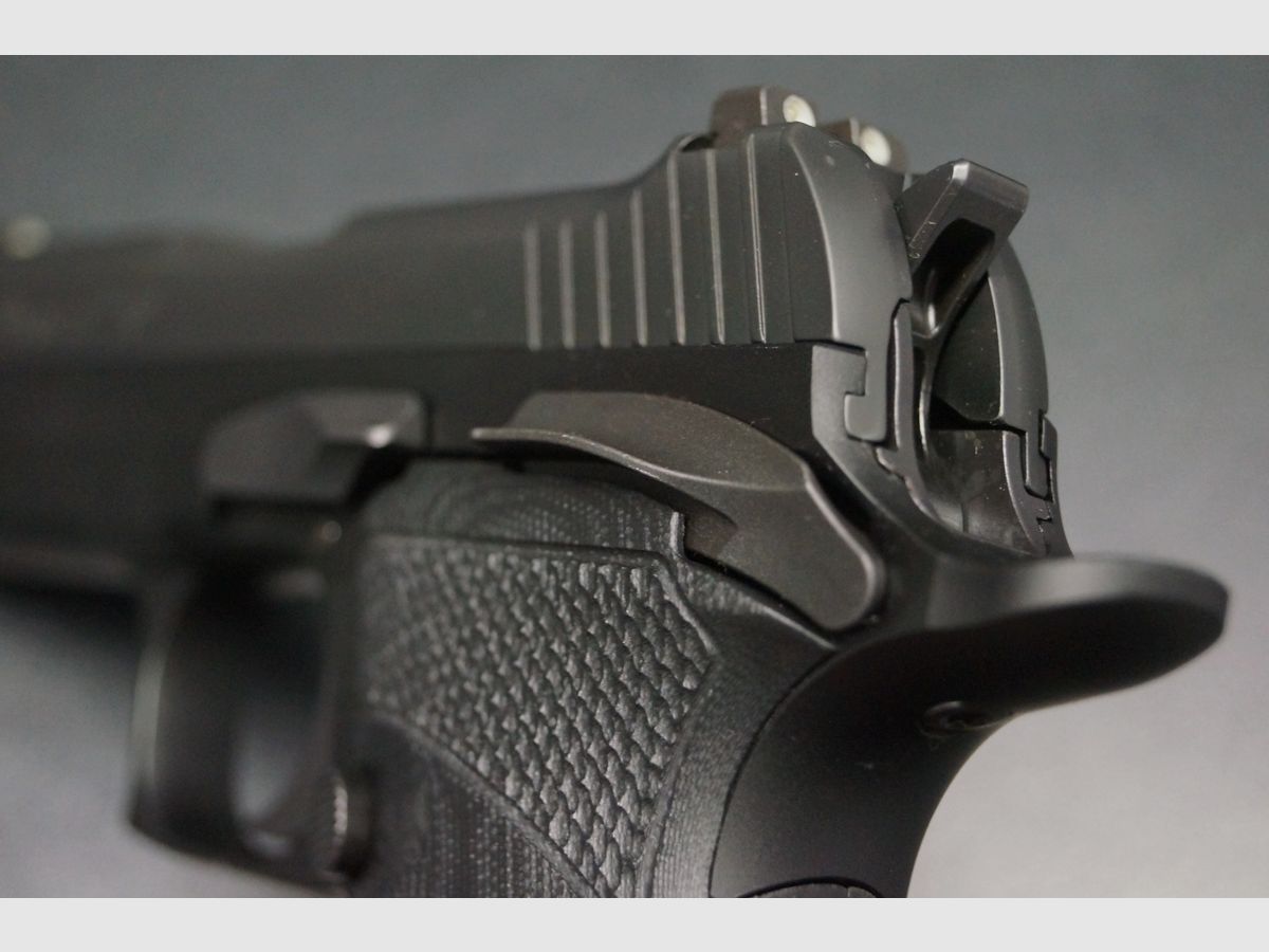 Sig Sauer P210 Carry 9mm, Bild 6 von 8