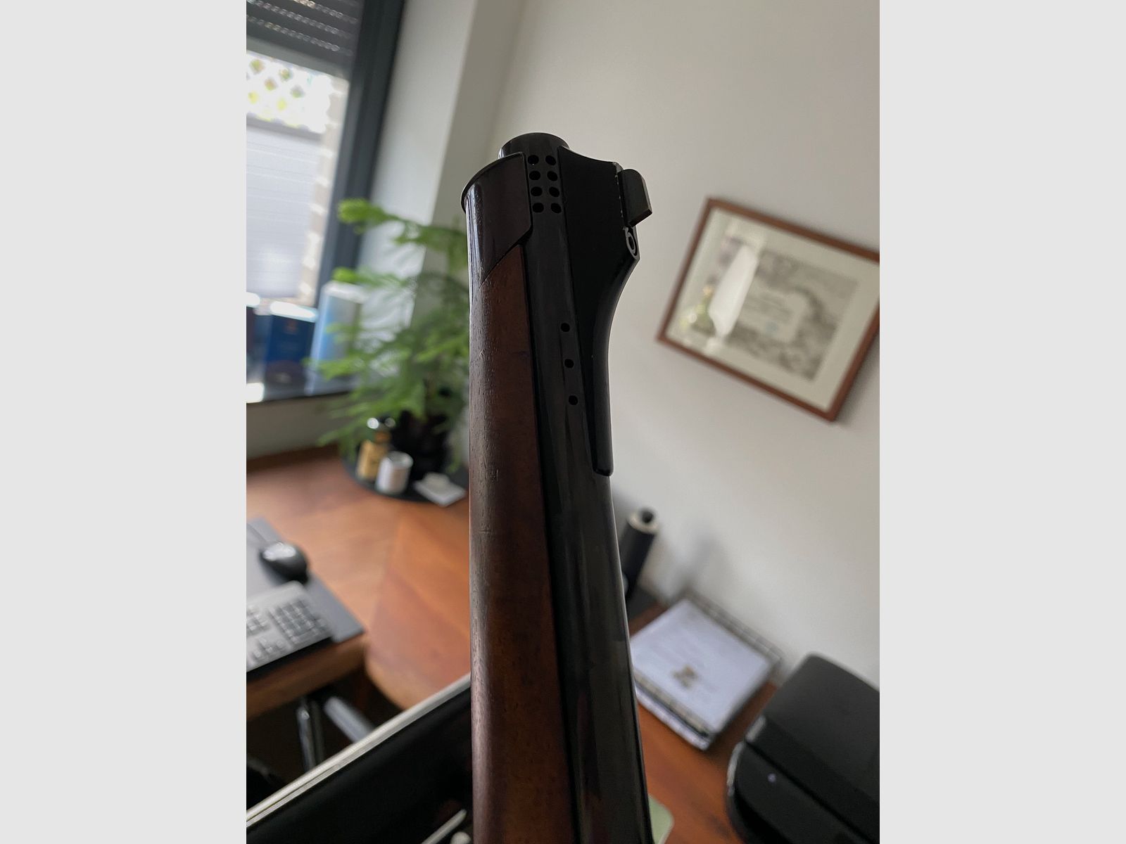 Sauer & Sohn 202 Stutzen 9,3x62 Sonderholz Schrankwaffe