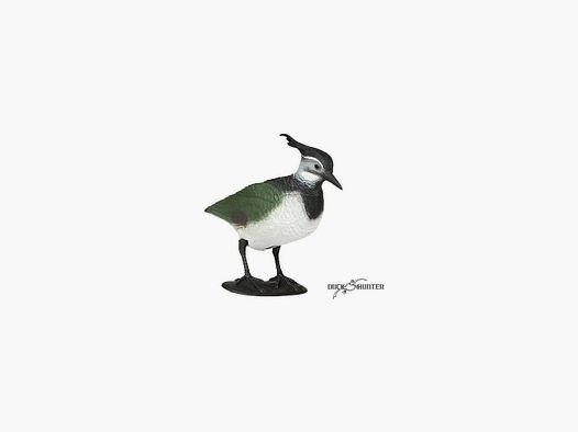 Forme de vanneau sur pattes