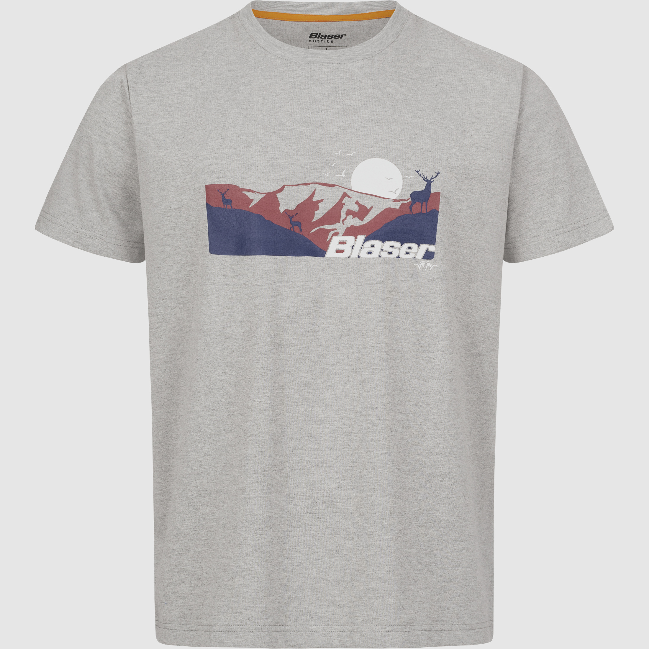 Herren Allgäu Mountain T-Shirt Grau Mélange XL