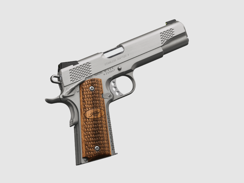 Kimber Stainless Raptor II