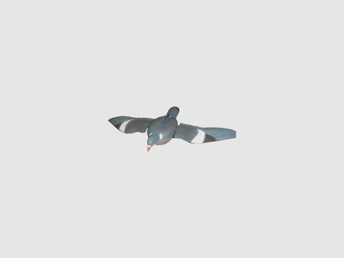 Wood Pigeon decoy with open wings