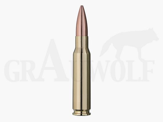 .308 Winchester 154 gr / 10,00 g RWS Target Elite Plus Match Patronen 20 Stück