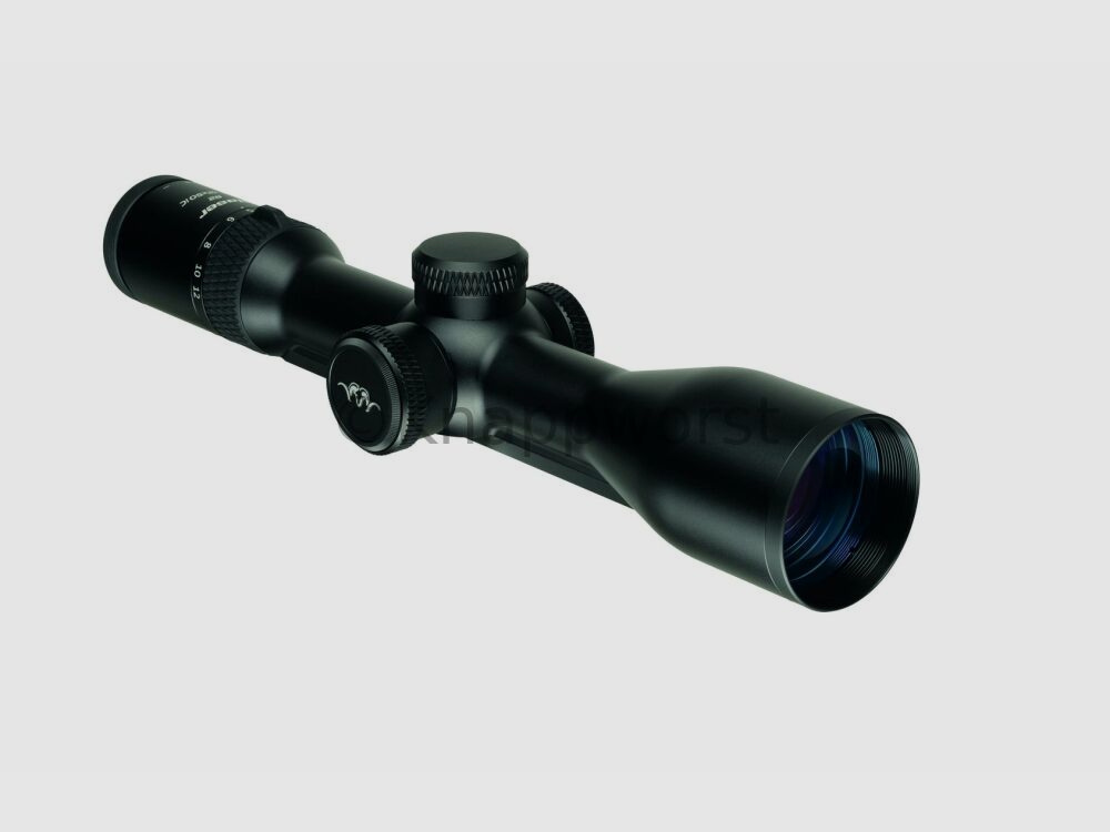 Blaser weapons Blaser B2 2-12x50 iC S