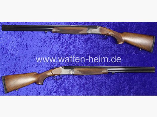 Rottweil 700