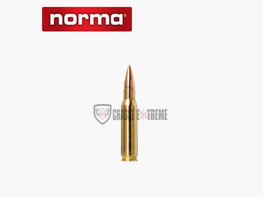 20 Patronen NORMA Kal. 308 Win 168gr Golden Target