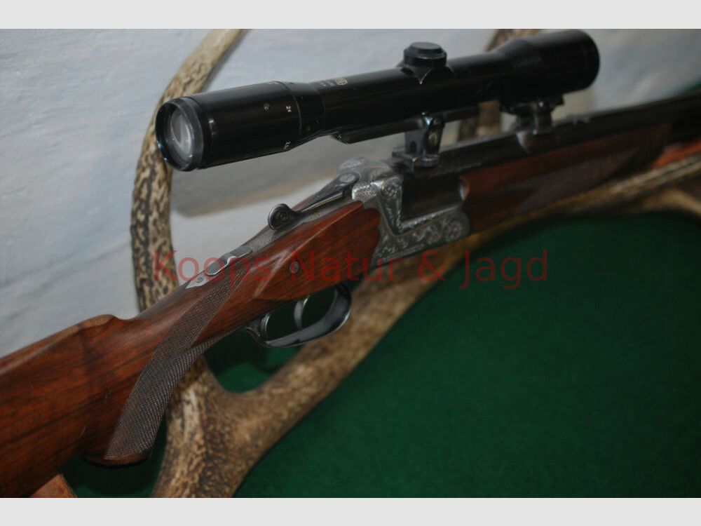 Sauer & Sohn 54