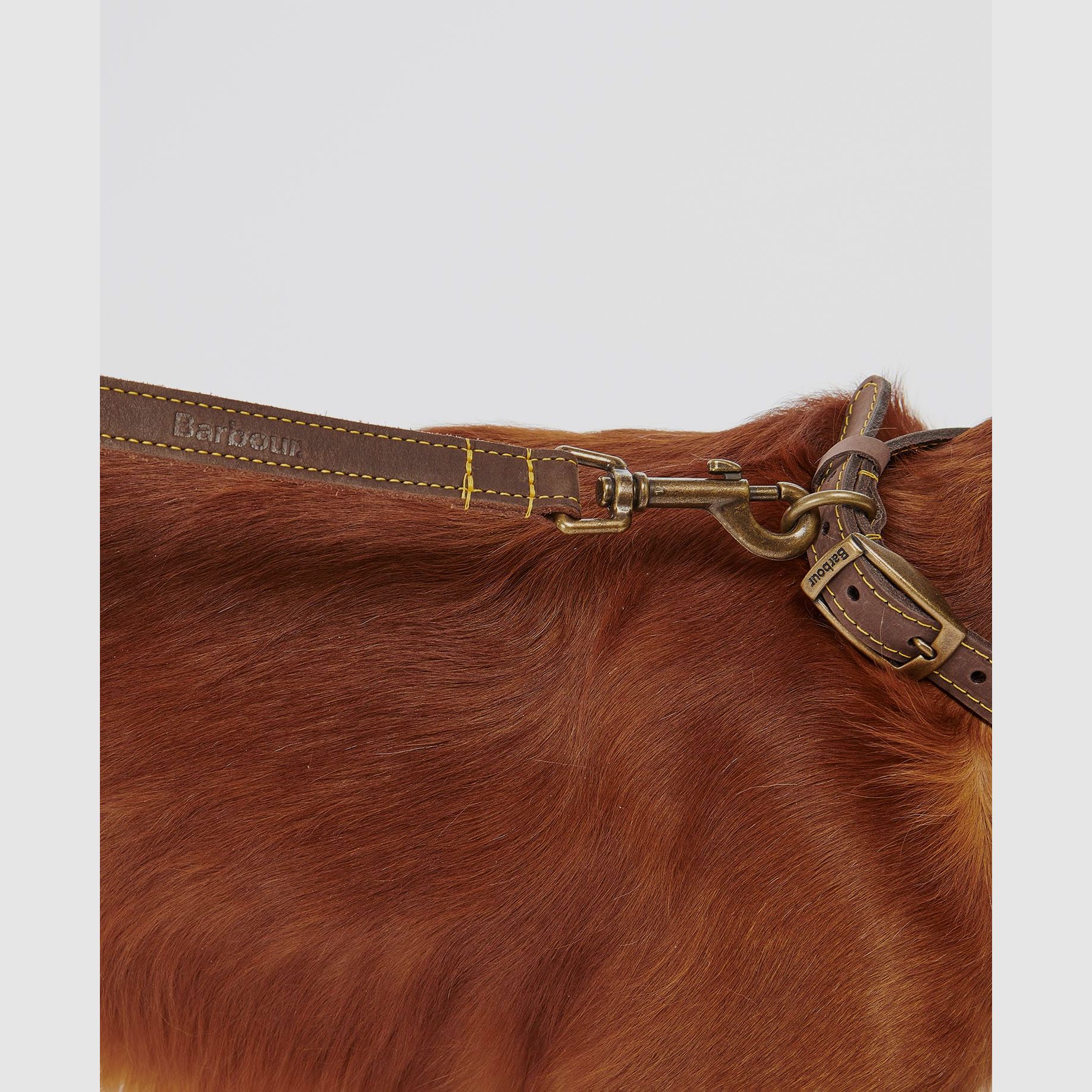 Barbour Hundeleine aus Leder
