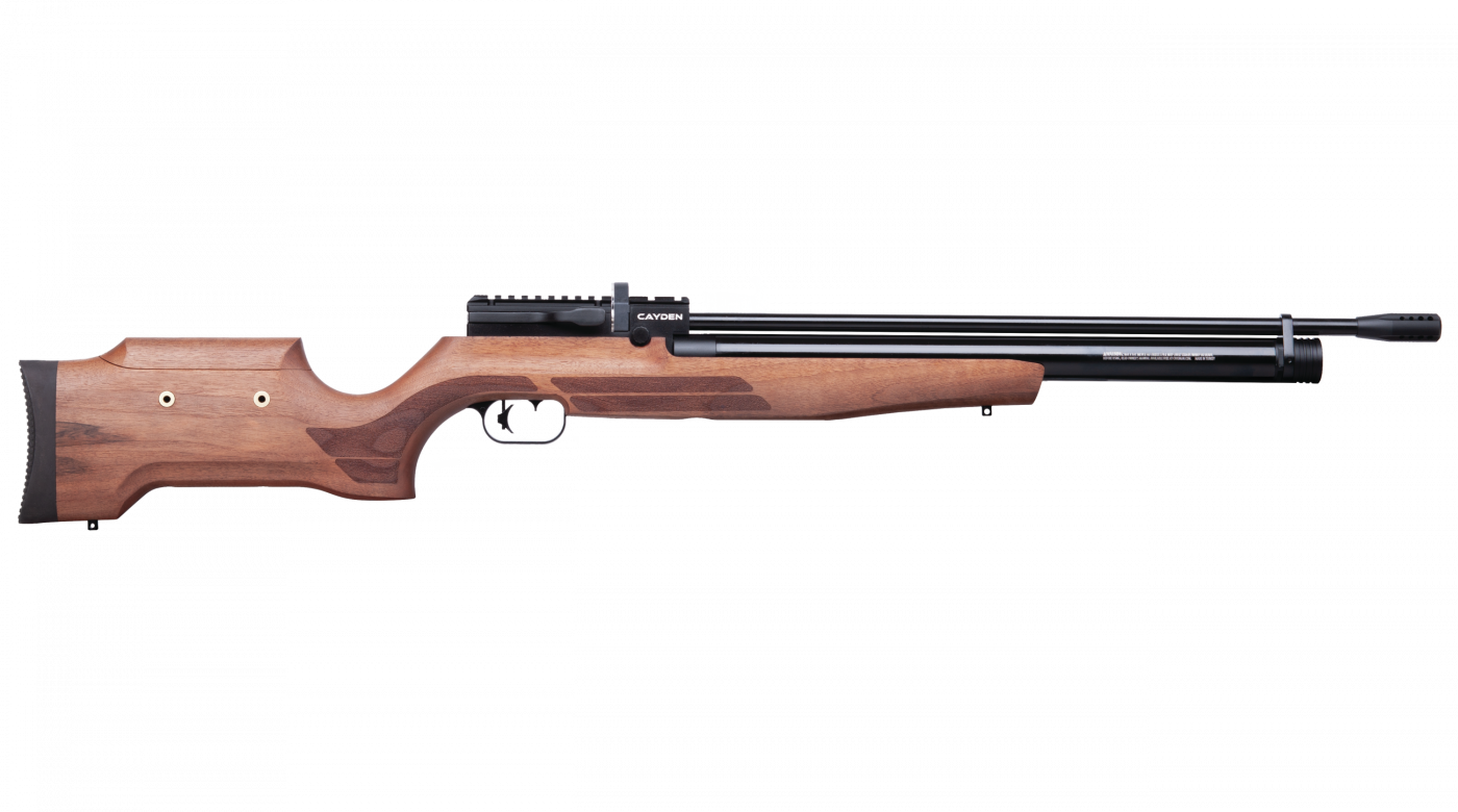 CARABINE PCP BENJAMIN CAYDEN - CAL 5.5 MM