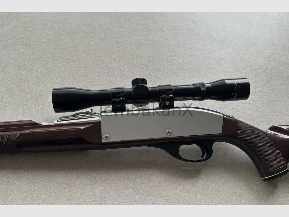 Remington Nylon 66 .22lr