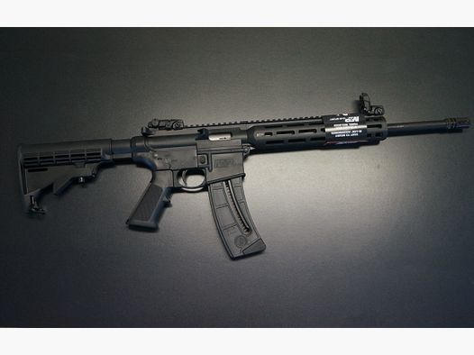 Smith & Wesson M+P 15-22 Sport