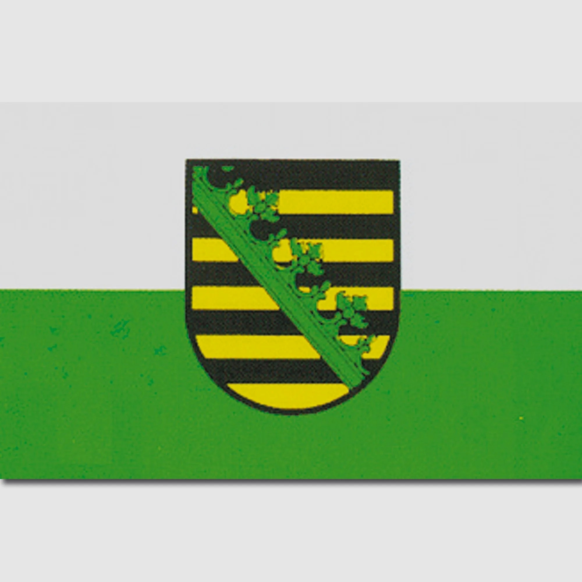 Diverse Flagge Sachsen