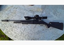 Walther Dominator