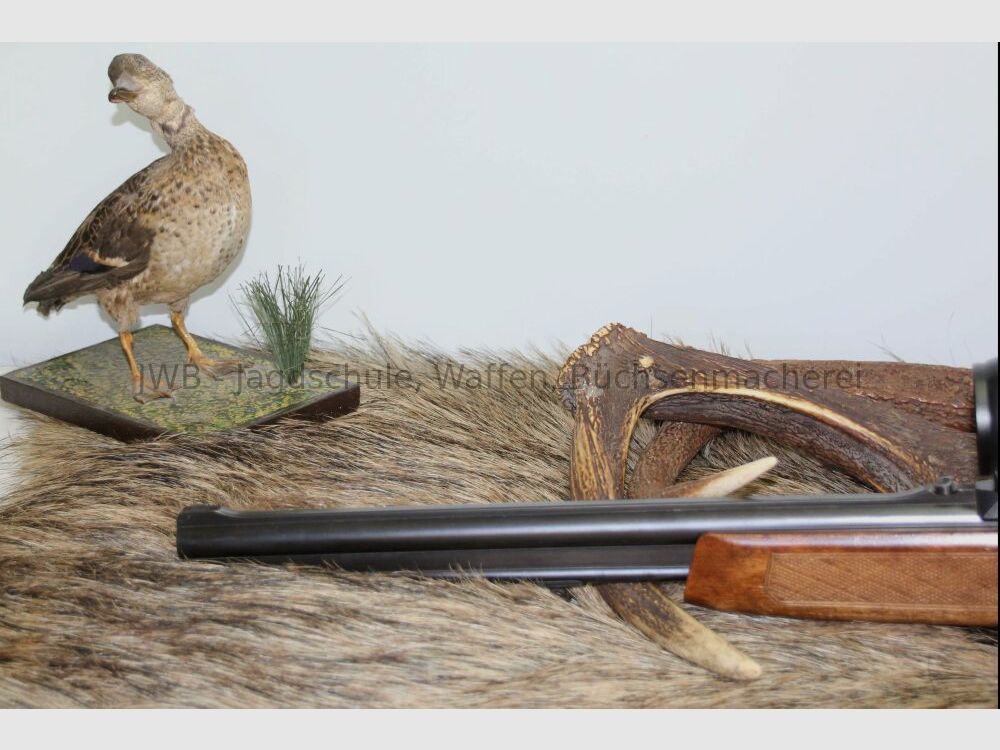ZBROJOVKA BRNO Modèle 502,3 Fusil Combiné avec ZFR variable 7x65R; 12/70