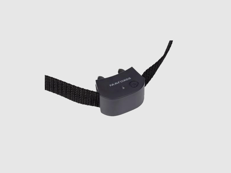 Eisport MUELLE REAL EDER (401), immagine 5 di 5