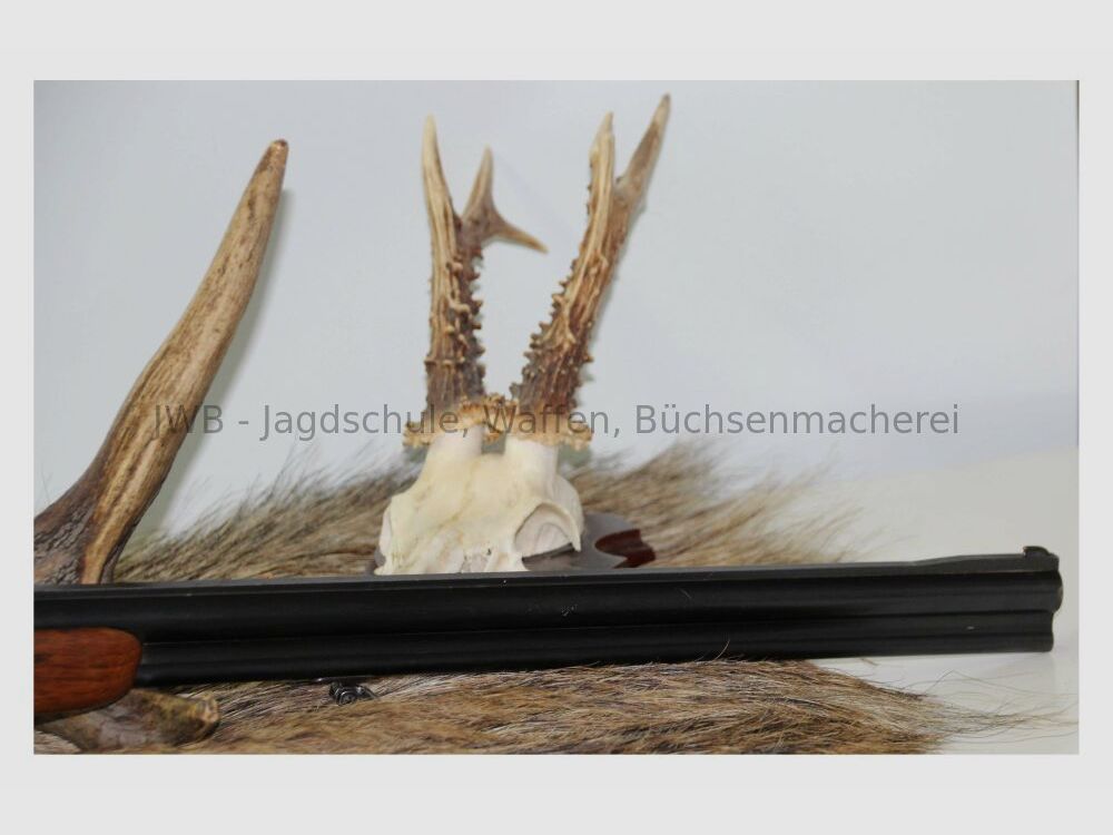 Sauer & Sohn ohne 7x57R;16/70