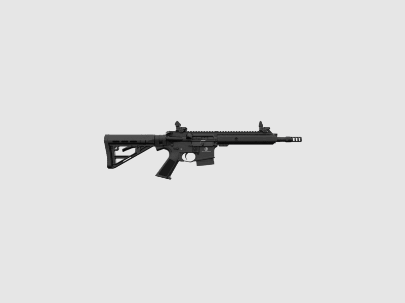 Schmeisser AR15 .223 Sport S 10,5" Selbstladebüchse mit Schubschaft