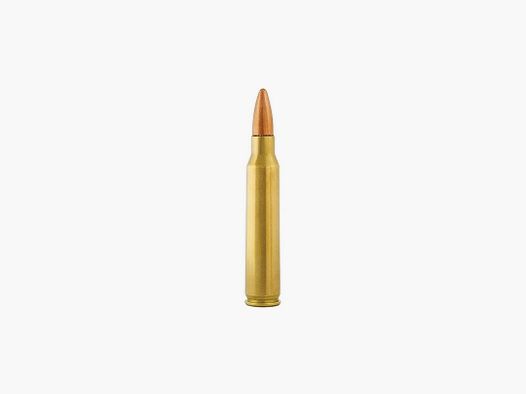BOX MIT 50 PATRONEN FIOCCHI CAL.223REM FMJ 55GR - KATEGORIE B