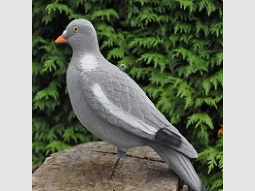 Flocked full pigeon – head up, image 1 of 2