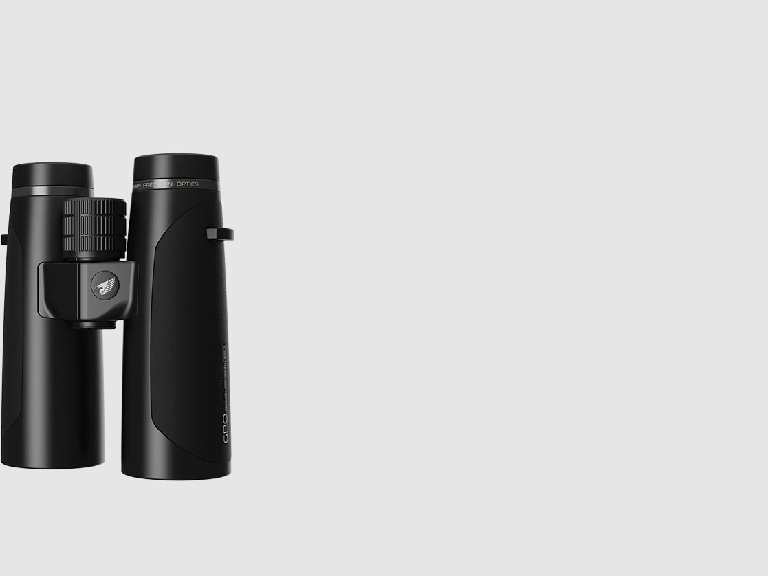 PASSION™ HD 8x42