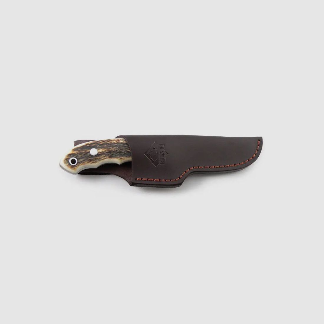 PUMA IP ebro, stag