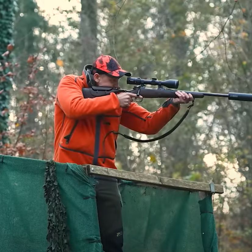 Drückjagd-Guide: So verhältst du dich richtig auf der Drückjagd