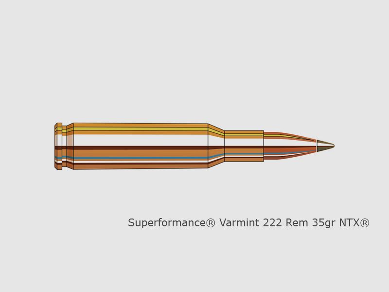Hornady Superformance Varmint .204 Ruger 1.6g NTX, Bild 2 von 2