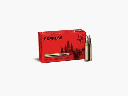 GECO Ammo .300 Win Mag Geco Express 10.7 g / 165 gr VE20