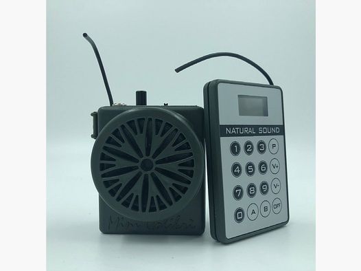 DIONISI SPORT LLAMADA 100 CANCIONES CON CONTROL REMOTO VERDE