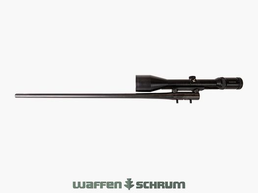 Blaser R93 8x68S avec insert de chargeur 8x86S, ZF Swarovski Habicht 2,5-10x56 Abs. 1, montage en selle, LL : 65 cm, chambre de verrouillage moyenne gauche