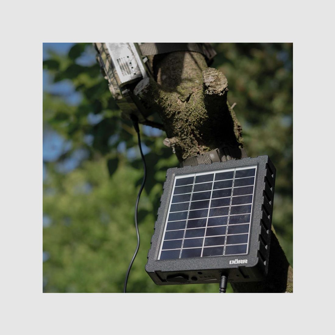 Dörr Solar Panel Li-1500 12V/6V