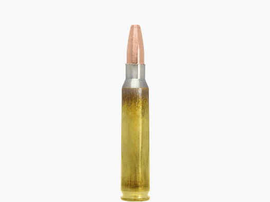 Lapua .223 Rem Naturalis 50 gr. - 20 St.