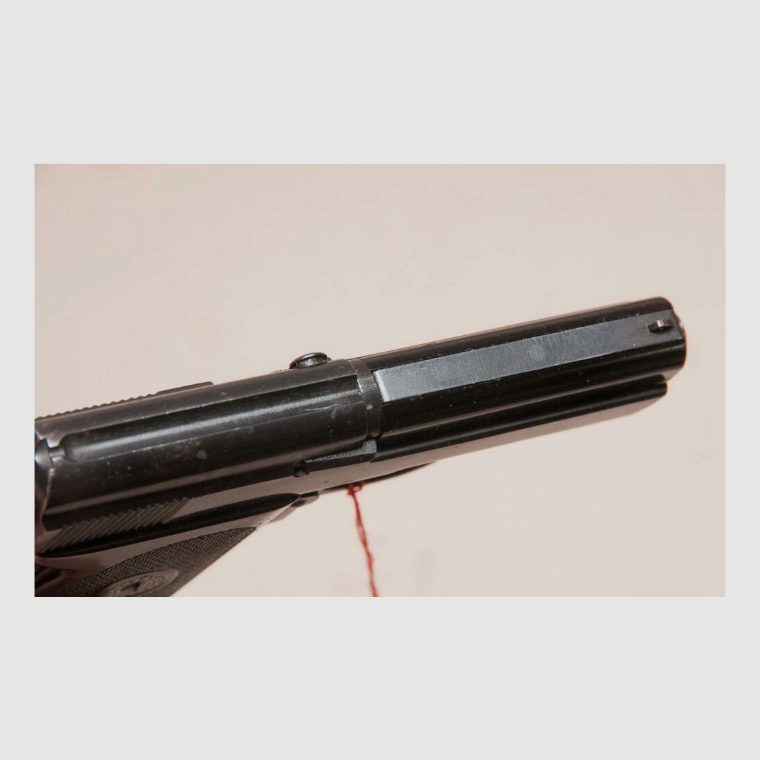 Walther TP caza de depredadores, caza de construcción, caza con trampas