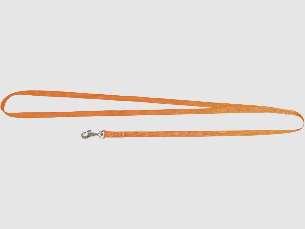 Dog leash orange
