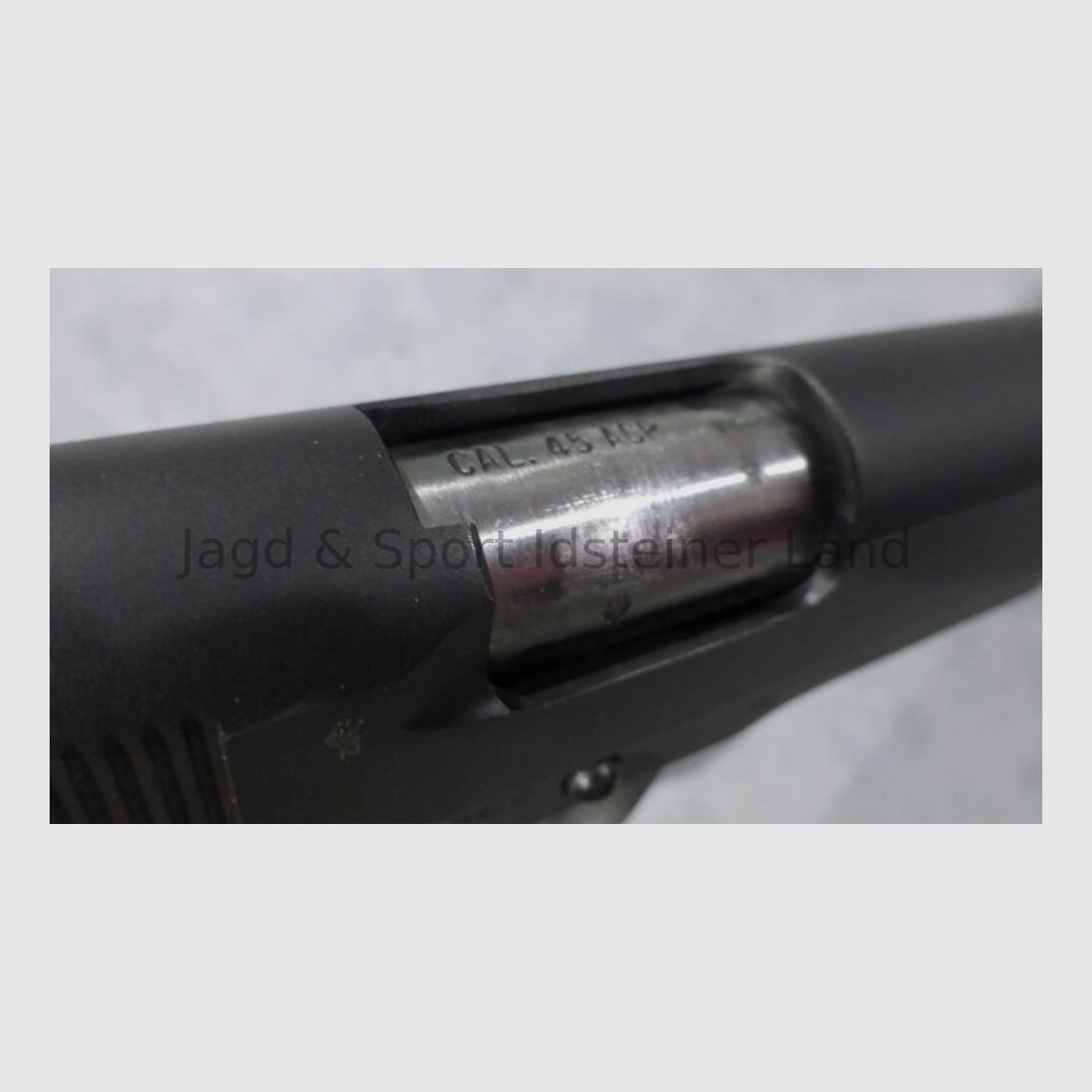 Rock Island Armory 1911