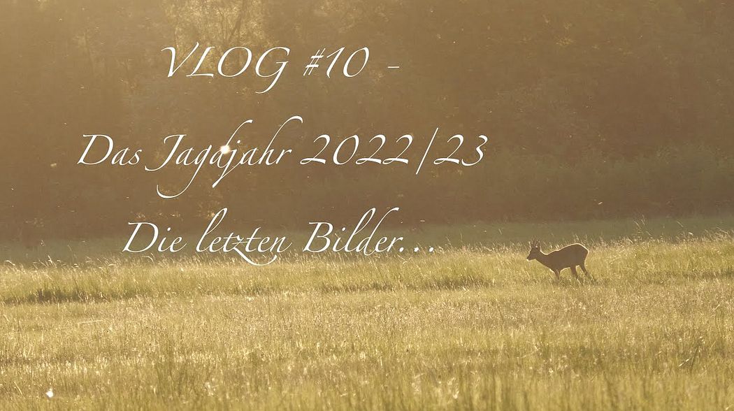 VLOG #10 - Das Jagdjahr 2022/23 - Die letzten Bilder... #jagen #hunting #Drückjagd