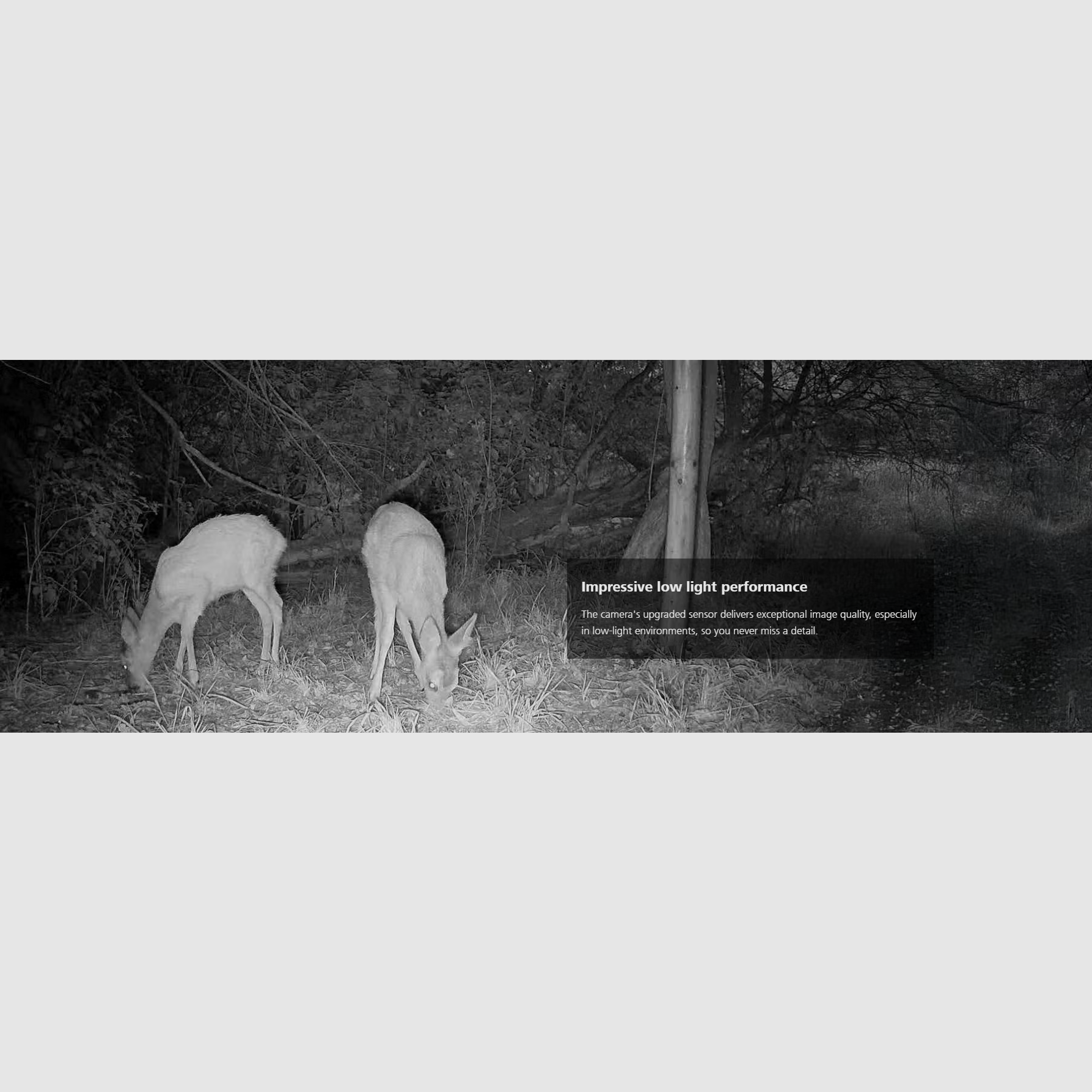 Zeiss Secacam 3 Trail Camera + Power Pack + Metal Housing, image 7 of 38